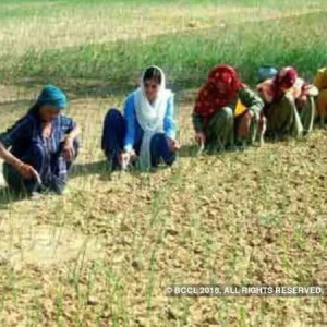 Do not see any problems in implementation of agri bills: NABARD Chairman GR Chintala