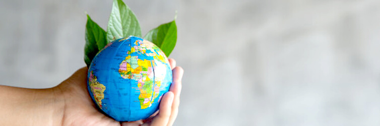 Make every day World Environment Day