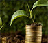 Go solar, go green, save money